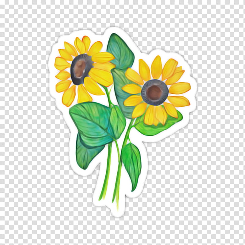 Sunflower, Yellow, Plant, Cut Flowers, Petal, Wildflower, Sunflower Seed, Sticker transparent background PNG clipart