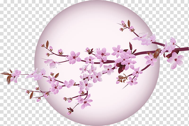 Cherry blossom, Stau150 Minvuncnr Ad transparent background PNG clipart
