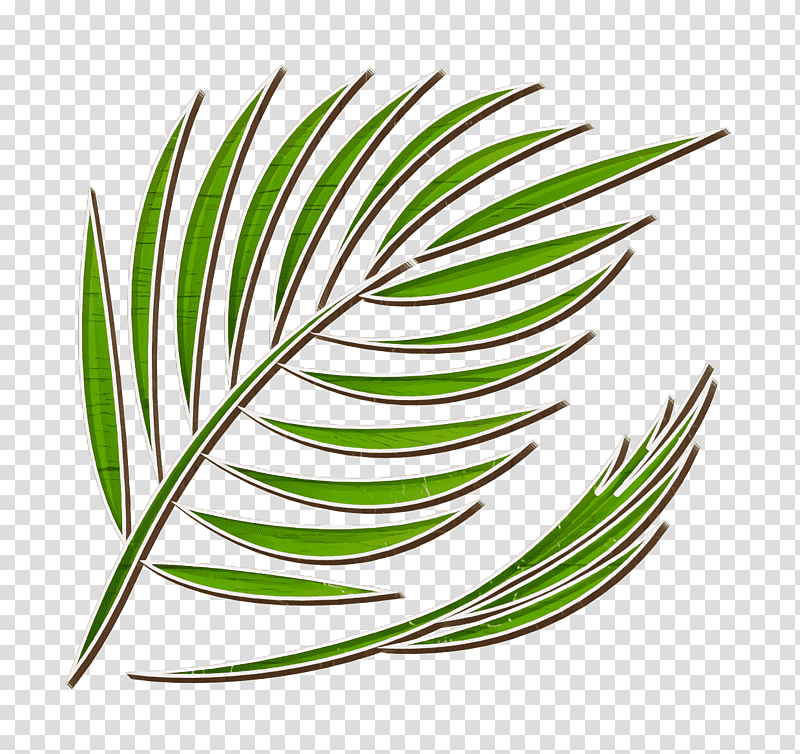 Summer icon Palm icon, Leaf, Plant Stem, Grasses, Line, Plants, Biology transparent background PNG clipart