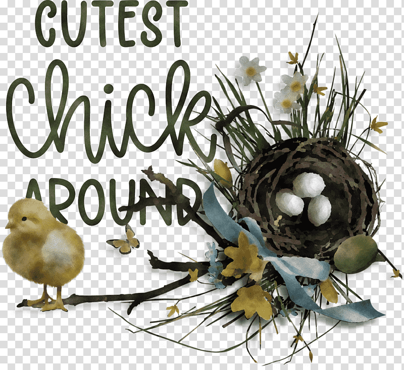 Happy Easter Easter Day Cutest Chick Around, Birds, Bird Nest, House Sparrow, Bald Eagle, Peregrine Falcon, Domestic Canary transparent background PNG clipart