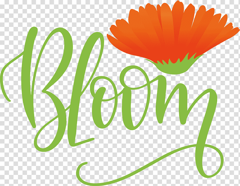 Bloom Spring, Spring
, Flower, Free, Flowerpot, Plant Stem, Logo transparent background PNG clipart