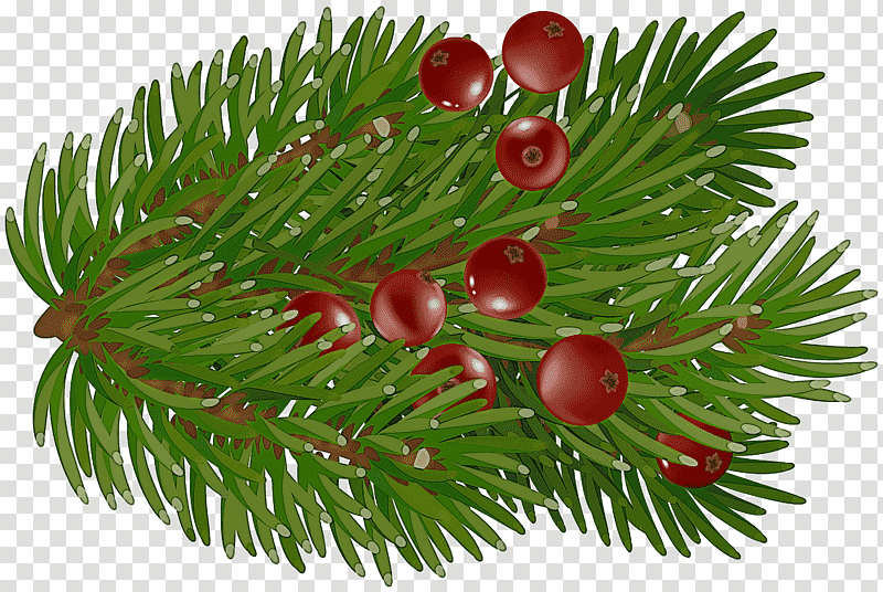 Christmas Day, Fir, Conifers, Spruce, Christmas Ornament M, Pine, Fruit transparent background PNG clipart