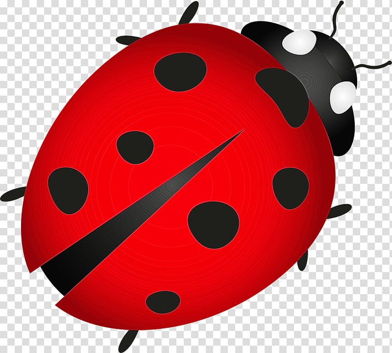 ladybird beetle beetles drawing cartoon marinette dupain-cheng, Watercolor, Paint, Wet Ink, Marinette Dupaincheng, Volkswagen Beetle, Ladybird Ladybird, Animation transparent background PNG clipart