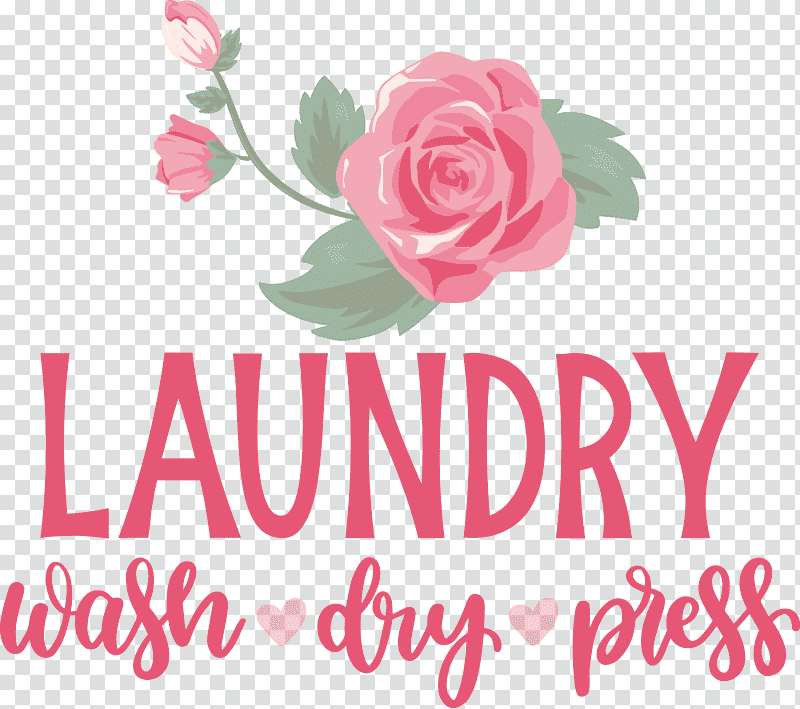 Laundry Wash Dry, Press, Floral Design, Garden Roses, Cut Flowers, Rose Family, Petal transparent background PNG clipart