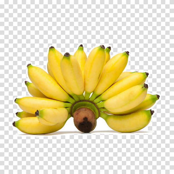 banana family banana yellow fruit plant, Saba Banana, Food, Natural Foods, Flower, Petal, Still Life , Cooking Plantain transparent background PNG clipart