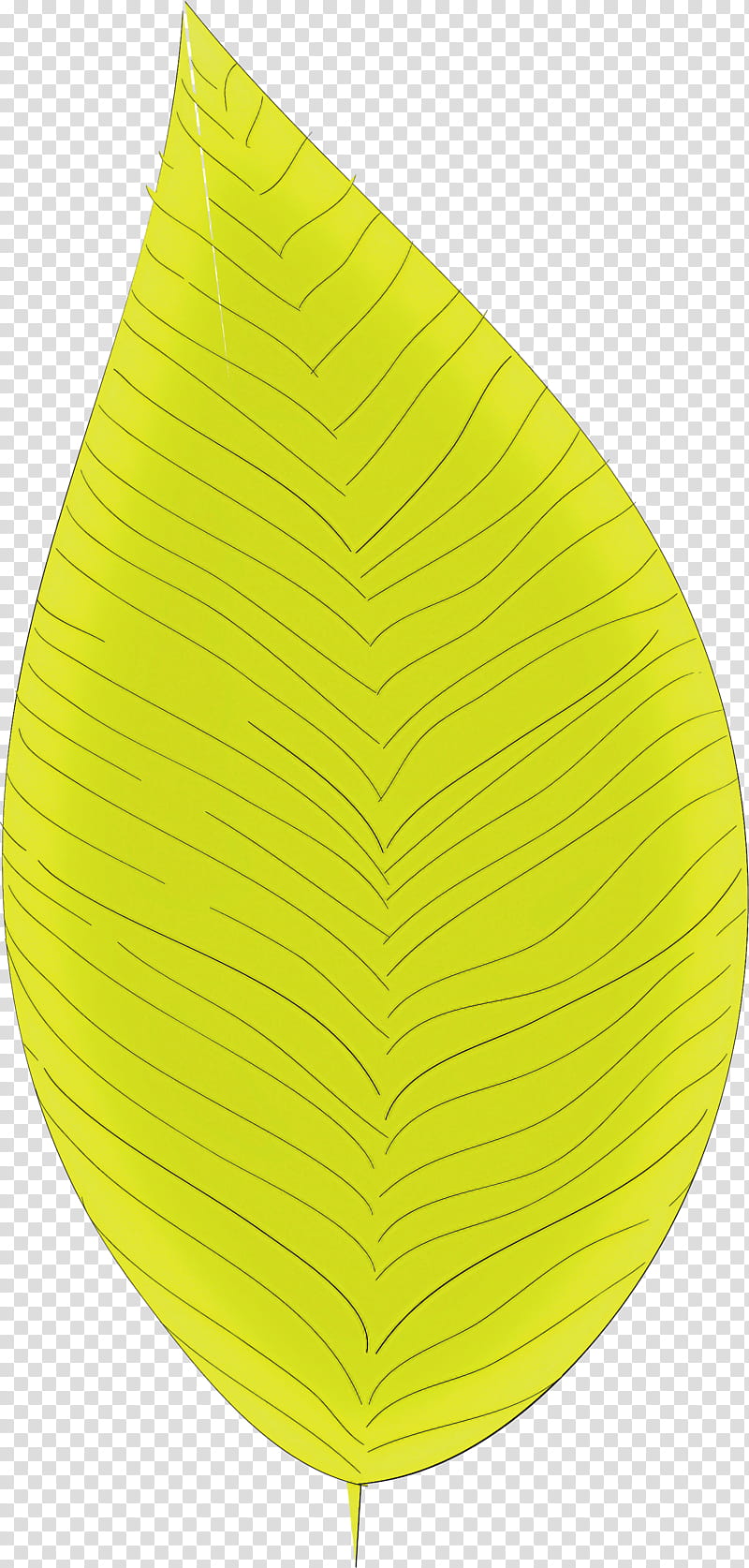 simple leaf simple leaf drawing simple leaf outline, Yellow, Biology, Science, Plant Structure, Plants transparent background PNG clipart