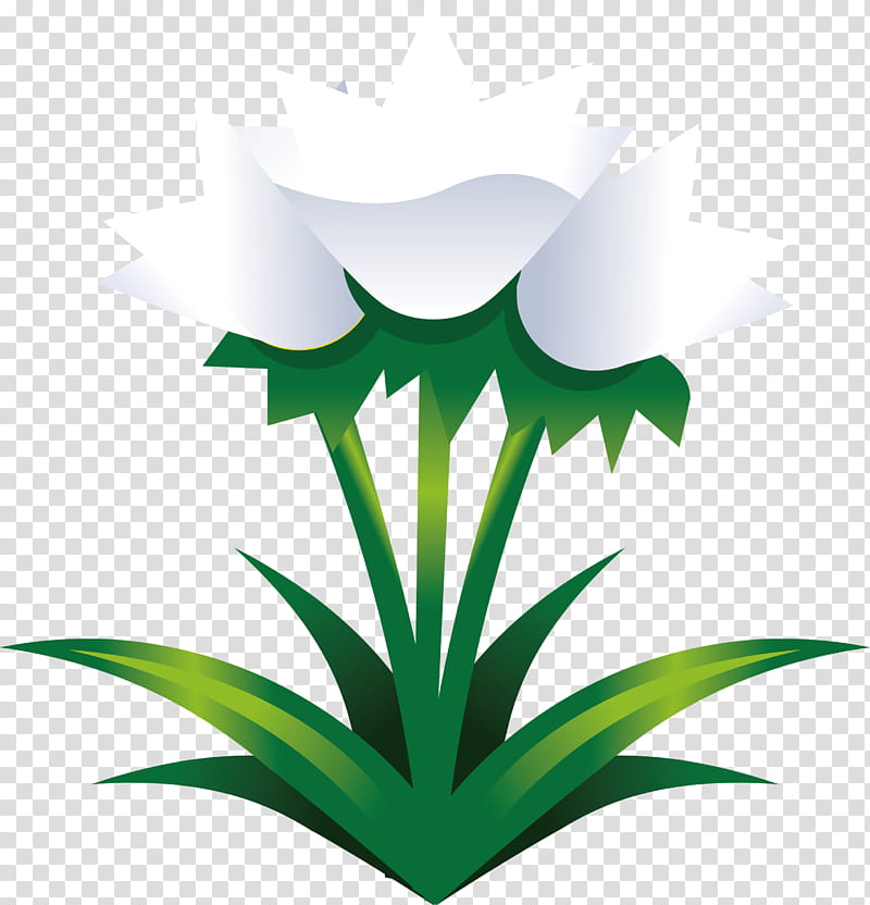 easter flower spring flower, Green, Leaf, Plant, Grass, Logo transparent background PNG clipart