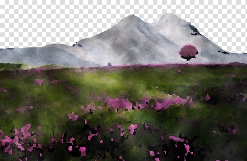 mount scenery vegetation ecoregion tundra purple, Wildflower, Mountain transparent background PNG clipart