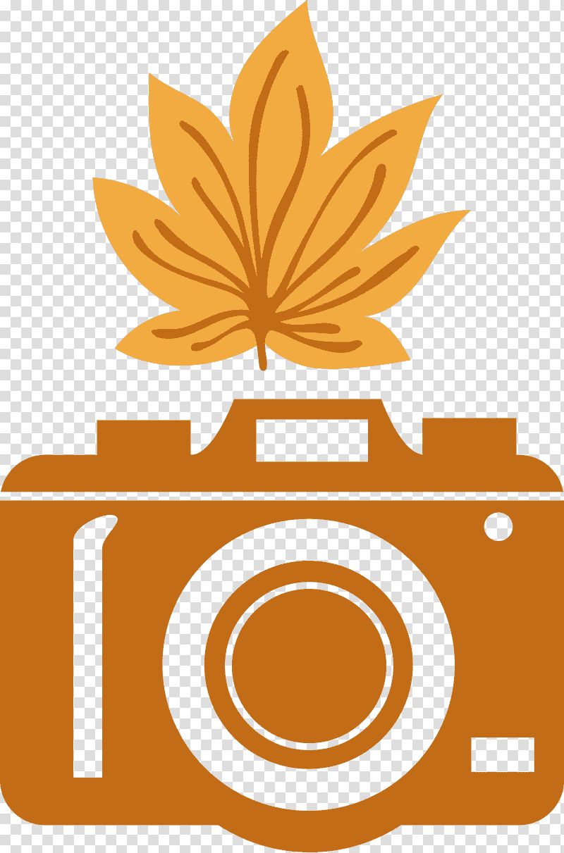 camera flower, Butterflies, Yellow, Leaf, Commodity, Meter, Line transparent background PNG clipart