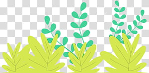 ti ukraine office novyi rozdil transparency international novoiavorivsk, Grass, Plant, Watercolor, Paint, Wet Ink, Agency For Investigation And Management Of Assets, National Anticorruption Bureau Of Ukraine transparent background PNG clipart thumbnail