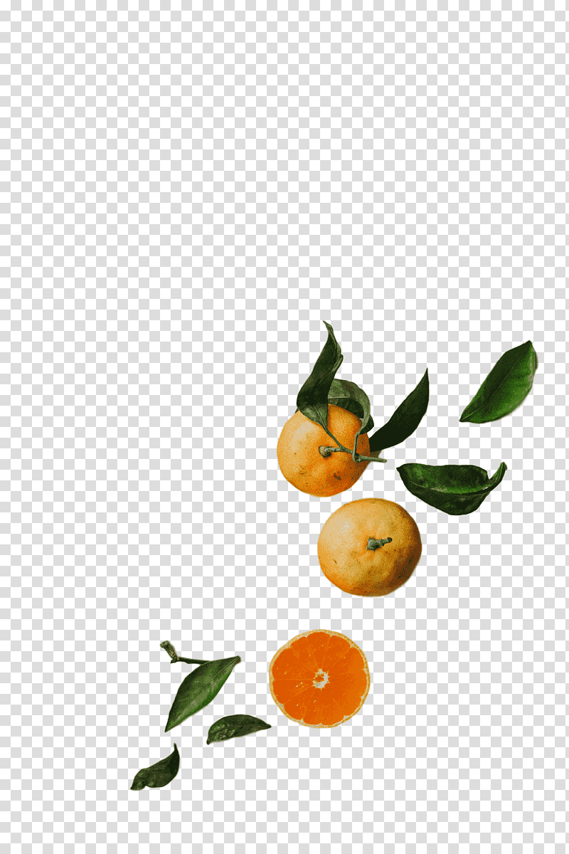 Orange, Bitter Orange, Calamansi, Tangerine, Tangelo, Rangpur, Natural Foods transparent background PNG clipart