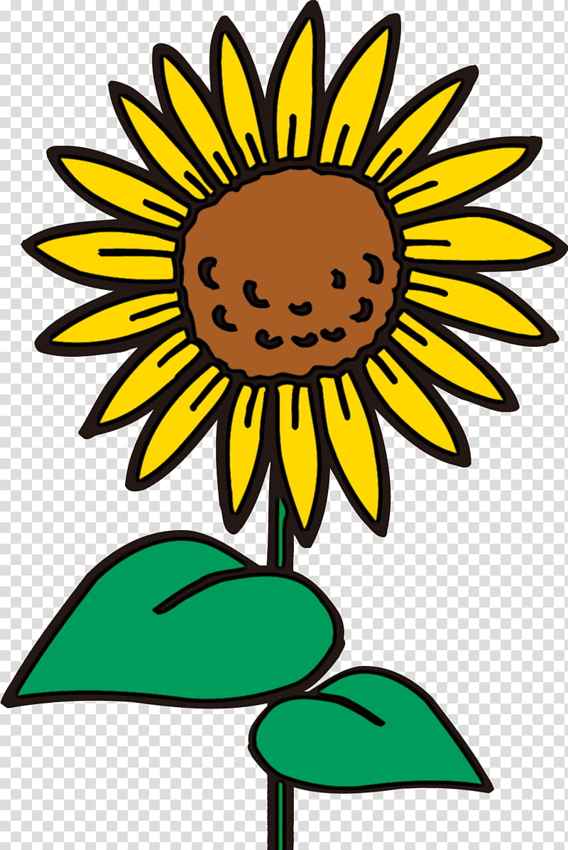 sunflower summer flower, Franke Center For The Arts, Curved Air, 2019, Meditation On A Pair Of Wire Cutters, Valve Bone Woe, Caroline No, Apple Music transparent background PNG clipart