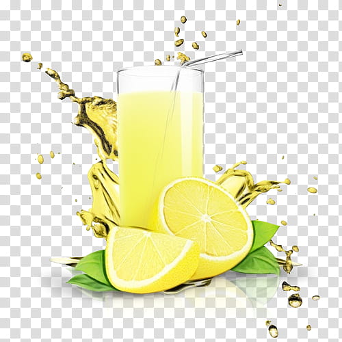 cocktail garnish lemonade harvey wallbanger mint lemonade lemon-lime drink, Watercolor, Paint, Wet Ink, Lemonlime Drink, Lime Juice, Citric Acid transparent background PNG clipart