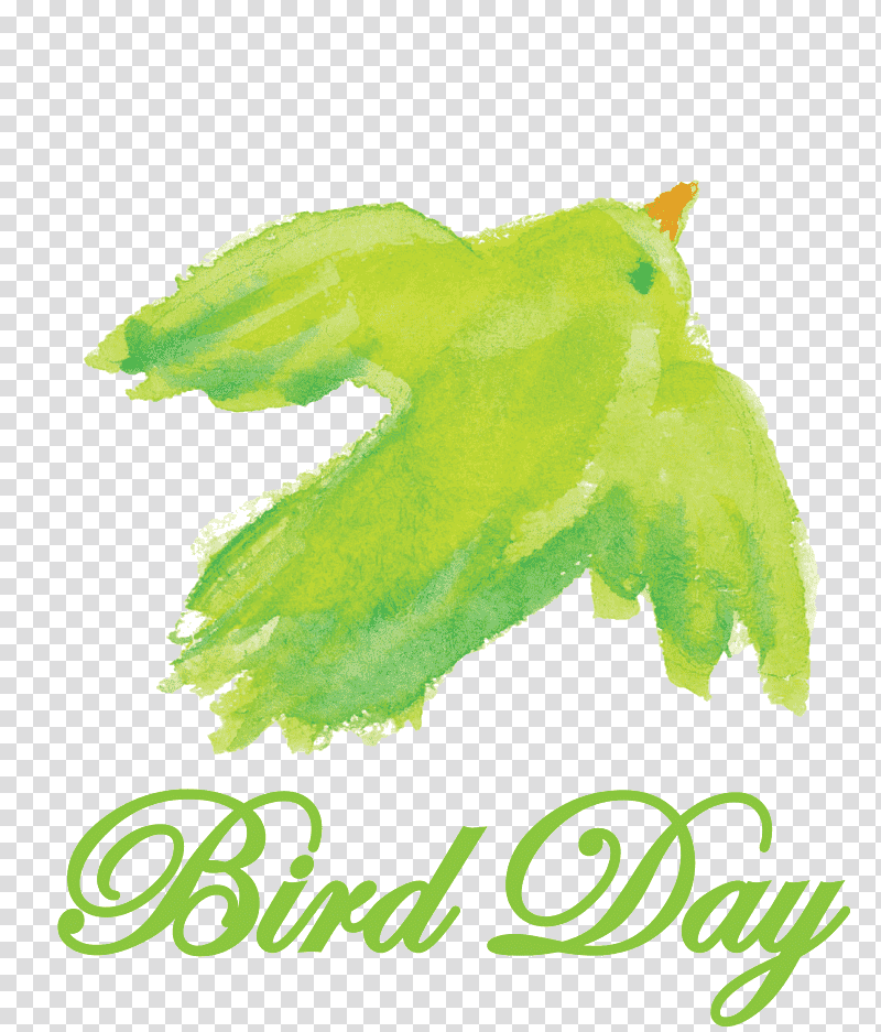 Bird Day Happy Bird Day International Bird Day, Leaf, Day Spa, Green, Meter, Tree, Travel transparent background PNG clipart