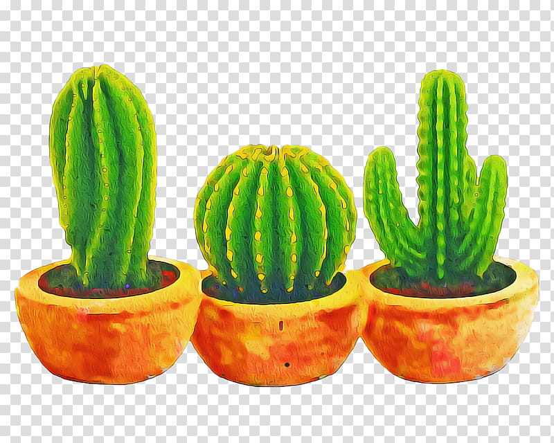Cactus, Succulent Plant, Plants, San Pedro Cactus, Agave, Gasteria, Haworthia, Cactus Garden transparent background PNG clipart