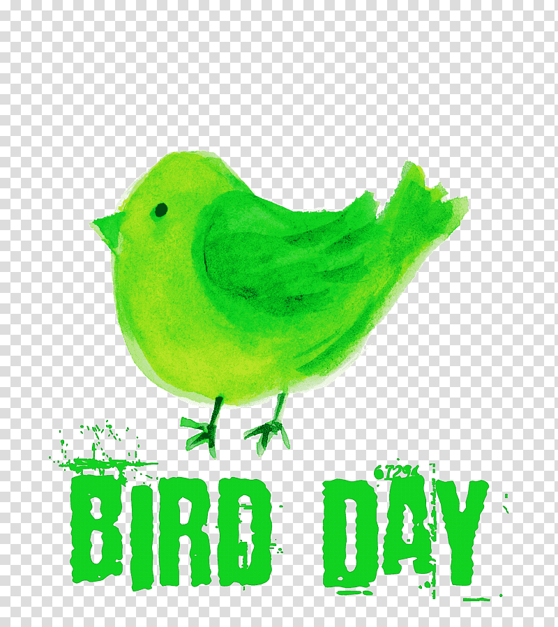 Bird Day Happy Bird Day International Bird Day, Birds, Logo, Hague, Beak, Green, Meter transparent background PNG clipart