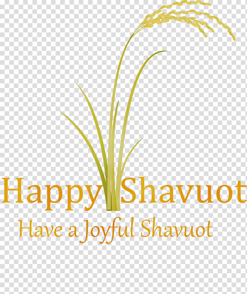 text plant grass family logo grass, Happy Shavuot, Shovuos, Watercolor, Paint, Wet Ink, Leaf, Line transparent background PNG clipart