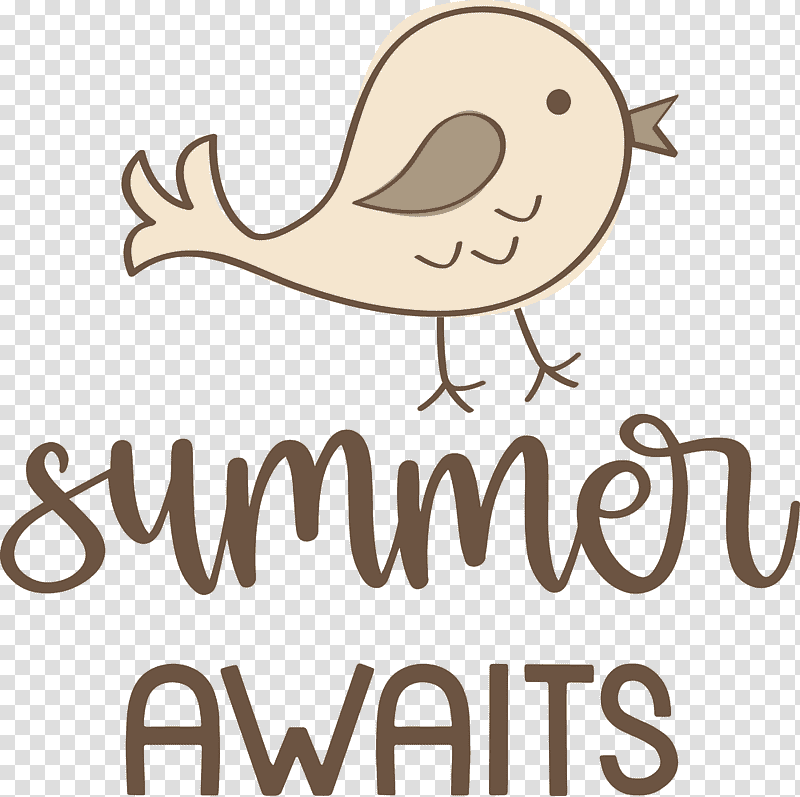 Summer Awaits Summer Summer vacation, Summer
, Birds, Logo, Cartoon, Beak, Meter transparent background PNG clipart