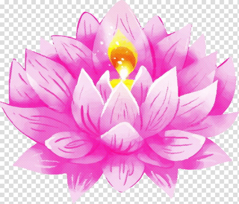 Bodhi Lotus Lotus, Petal, Pink, Aquatic Plant, Flower, Violet, Purple, Lotus Family transparent background PNG clipart