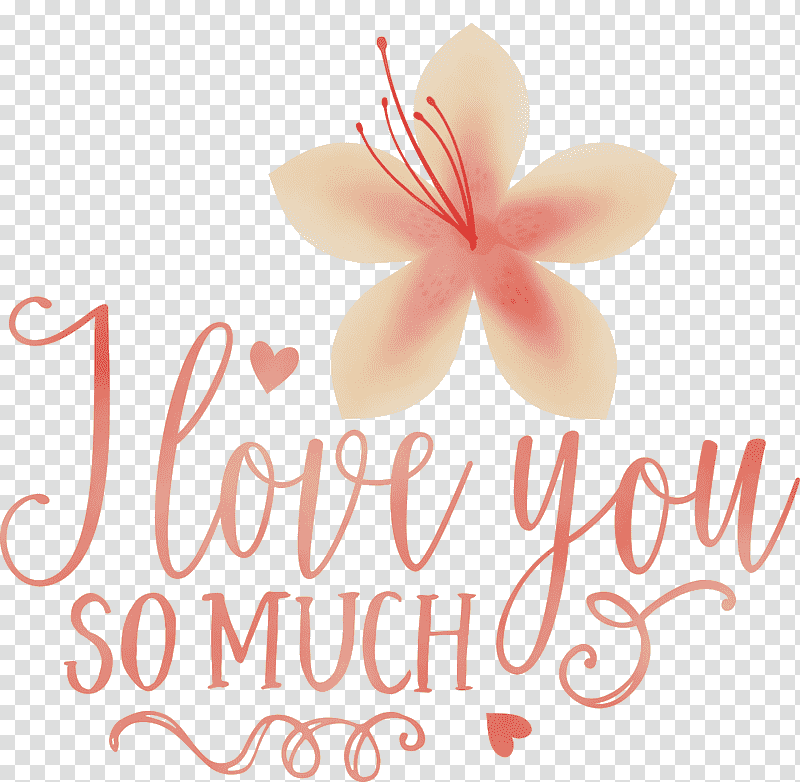 cut flowers petal flower meter font, I Love You So Much, Valentines Day, Quote, Watercolor, Paint, Wet Ink transparent background PNG clipart