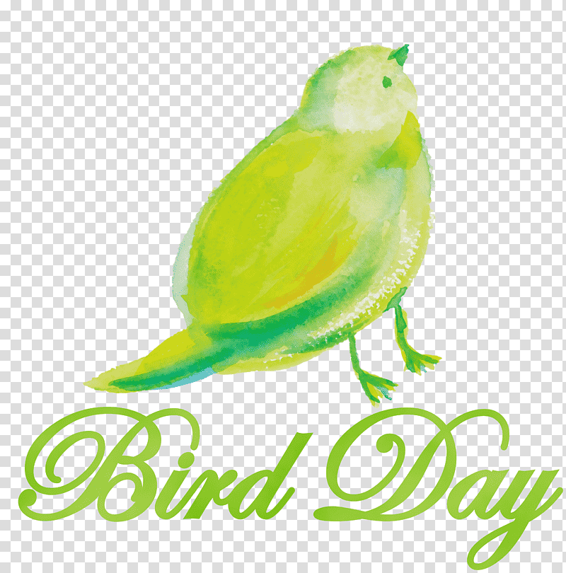 vila bali kaya tuban parakeet beak tuban sub-district biology, Bird Day, National Bird Day, Watercolor, Paint, Wet Ink, Tuban Subdistrict transparent background PNG clipart