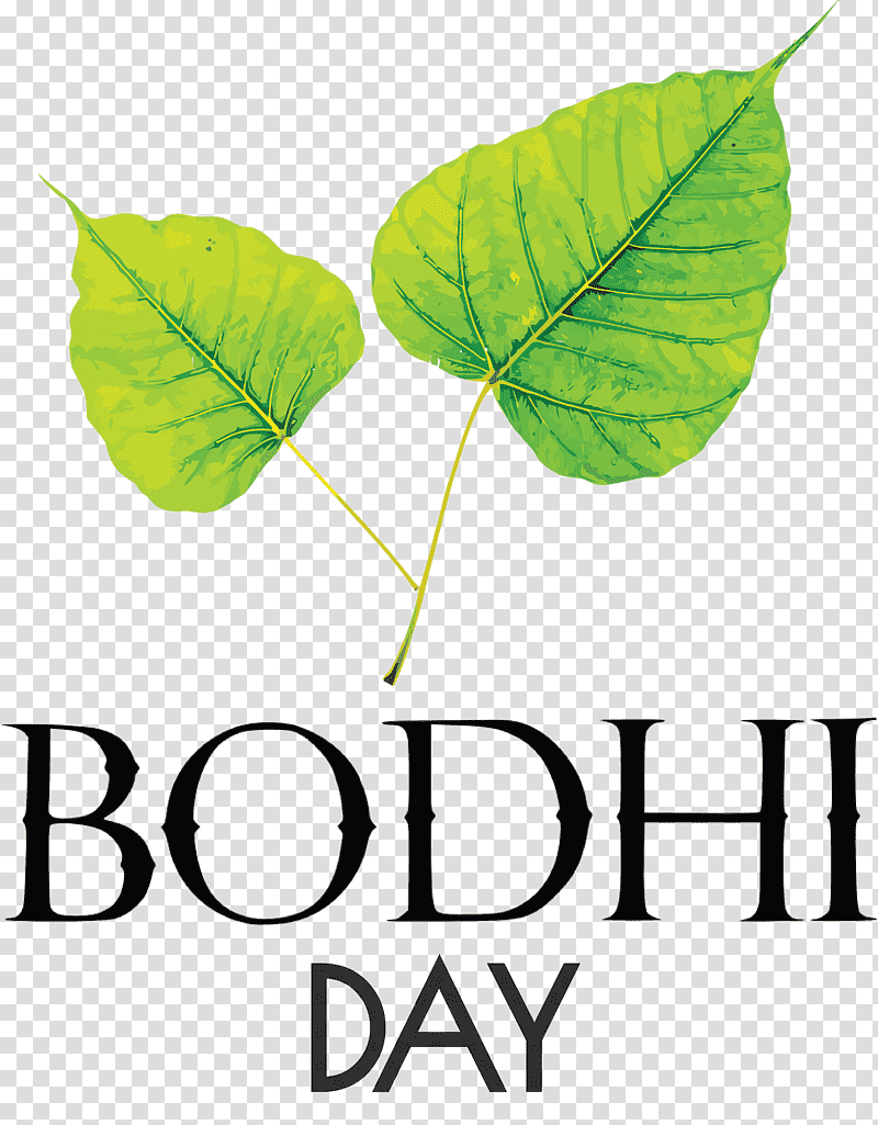 Bodhi Day Bodhi, Sacred Fig, Leaf, Common Fig, Bodhi Tree Bodhgaya Bihar, Royaltyfree, Fig Leaf transparent background PNG clipart