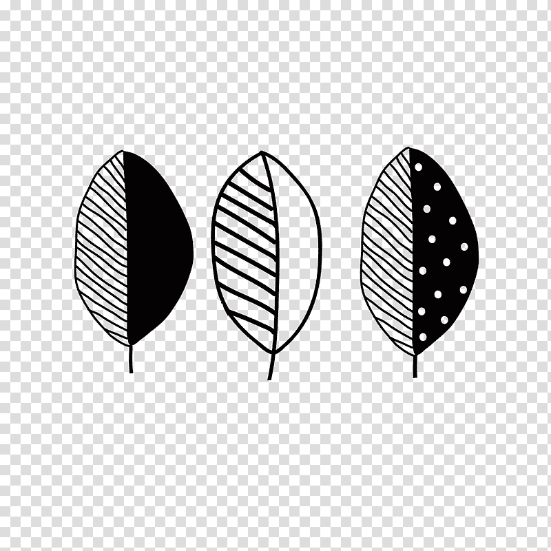 font leaf line meter pattern, Black, Biology, Plants, Plant Structure, Mathematics, Geometry transparent background PNG clipart