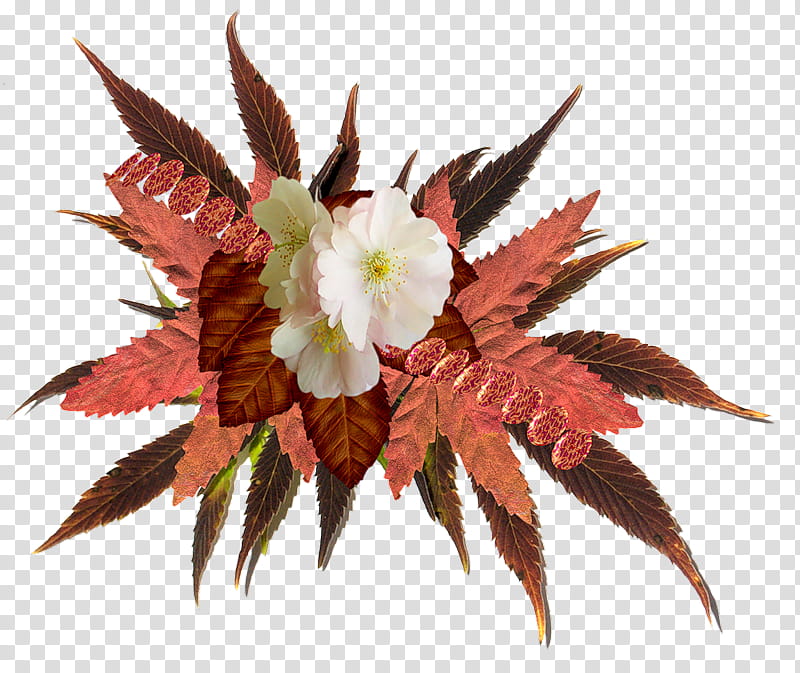 Autumn Design, Flower, Season, Composition, 2018, Plant, Leaf transparent background PNG clipart