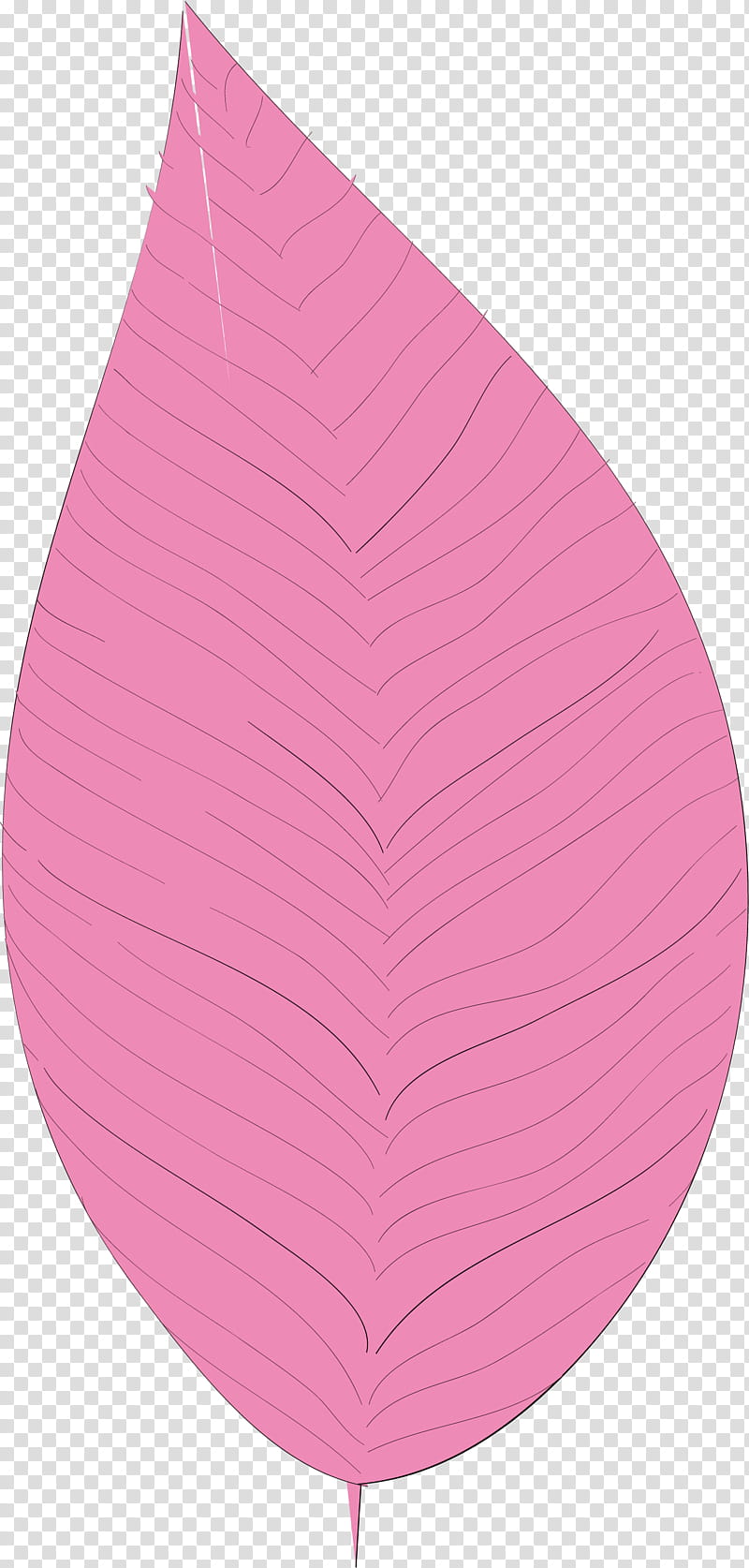 simple leaf simple leaf drawing simple leaf outline, Pink M, Science, Biology, Plant Structure, Plants transparent background PNG clipart