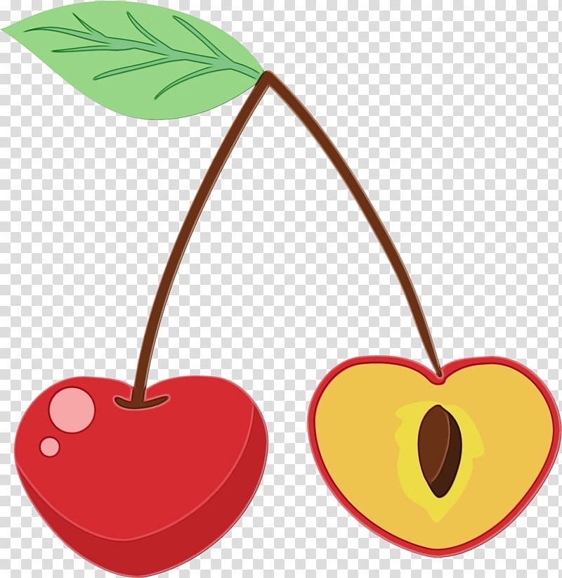 heart cherry plant leaf tree, Watercolor, Paint, Wet Ink, Drupe, Fruit, Plant Stem, Flower transparent background PNG clipart