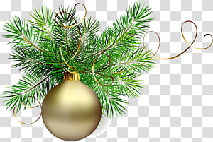 Christmas tree, Oregon Pine, Branch, White Pine, Christmas Decoration, Colorado Spruce, Fir, Shortstraw Pine transparent background PNG clipart thumbnail