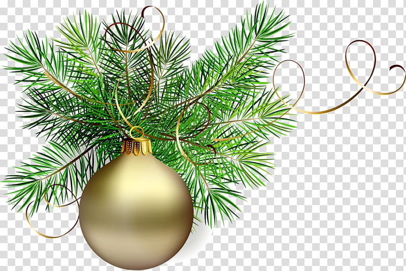 Christmas tree, Oregon Pine, Branch, White Pine, Christmas Decoration, Colorado Spruce, Fir, Shortstraw Pine transparent background PNG clipart