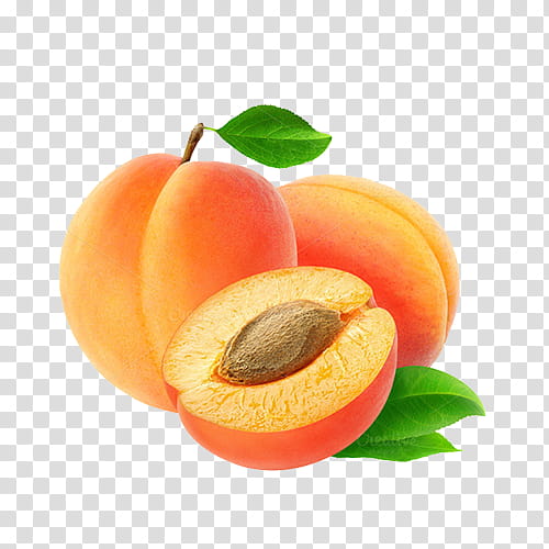 fruit european plum food apricot apricot kernel, Plant, Peach, Superfood, Natural Foods, Drupe, Nectarines, Yellow Plum transparent background PNG clipart