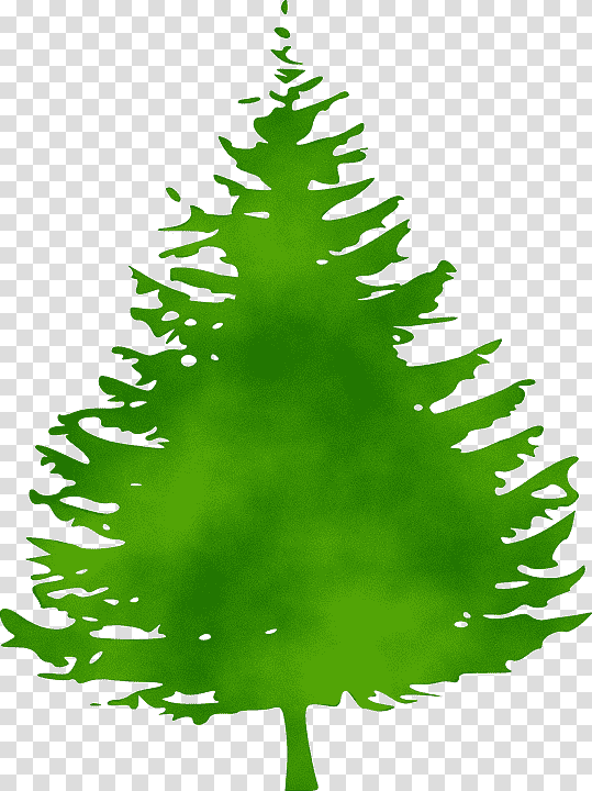 Pine Tree Fir Silhouette Conifers, Watercolor, Paint, Wet Ink, Evergreen, Cedar, Sprucepinefir transparent background PNG clipart