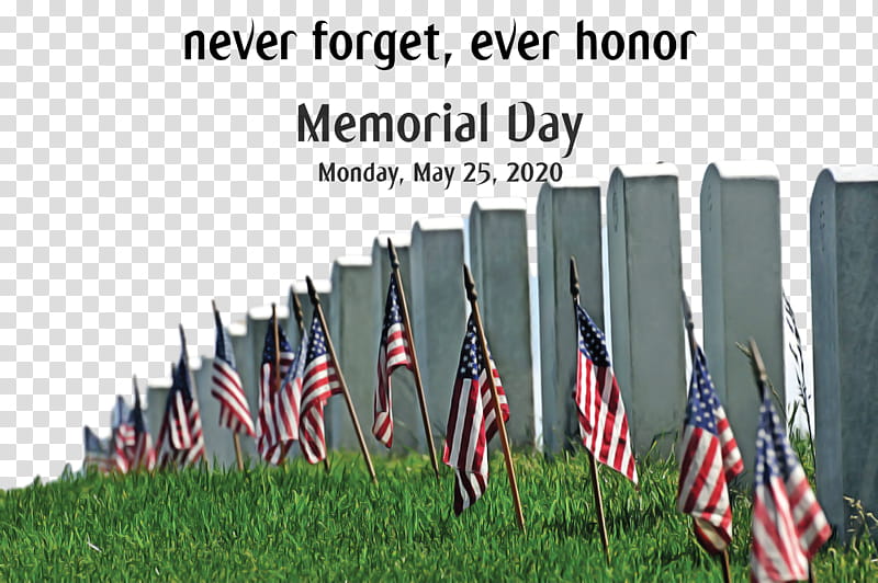 Memorial Day, Veterans Day, Quotation, Holiday, Soldier, Saying, Flag Of The United States, History transparent background PNG clipart