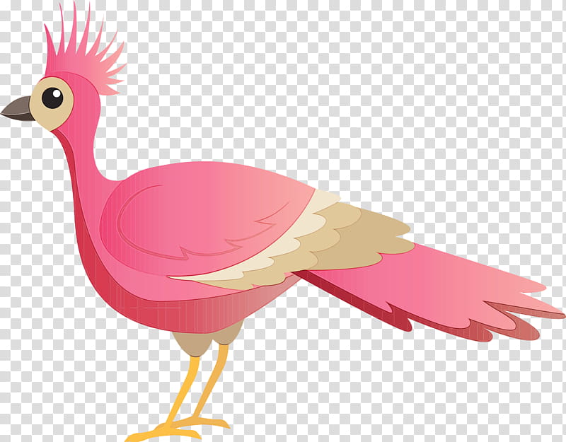 chicken ducks water bird birds beak, Bird Cartoon, Cute Bird, Watercolor, Paint, Wet Ink, Swans, Pink M transparent background PNG clipart