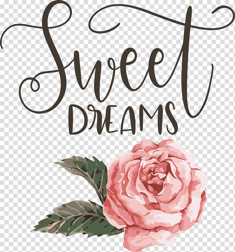 Sweet Dreams Dream, Free, Cricut, Music , Floral Design, Text, Idea transparent background PNG clipart