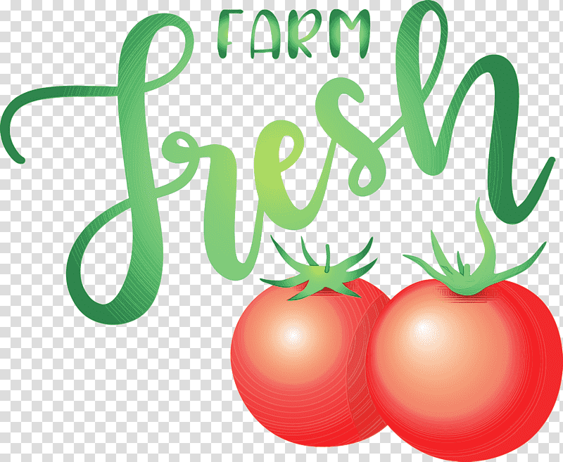 Tomato, Farm Fresh, Watercolor, Paint, Wet Ink, Natural Food, Superfood transparent background PNG clipart