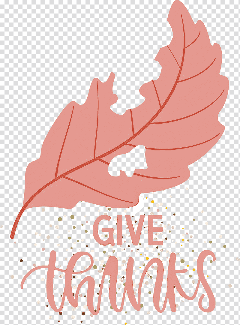 Thanksgiving Be Thankful Give Thanks, Leaf, Maple Leaf, Flower, Petal, Tree, Meter transparent background PNG clipart