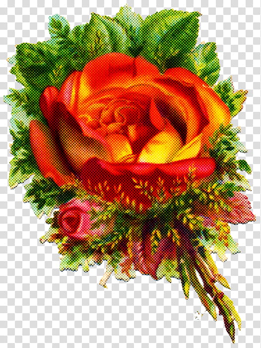 Floral design, Cut Flowers, Flower Bouquet, Garden Roses, Victorian Era, Vegetable, Orange Sa transparent background PNG clipart
