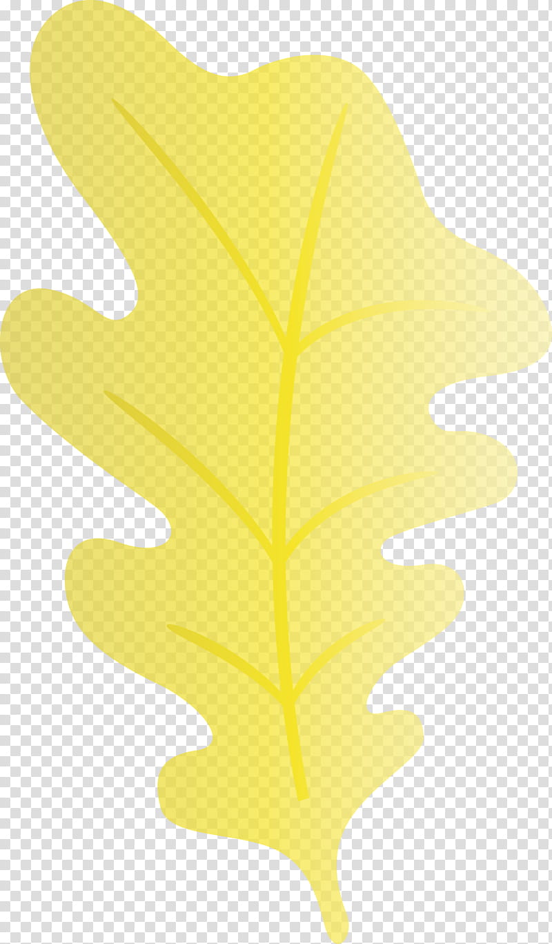 leaf tree yellow meter line, Oak Leaf, Watercolor, Paint, Wet Ink, Geometry, Science, Plant Structure transparent background PNG clipart