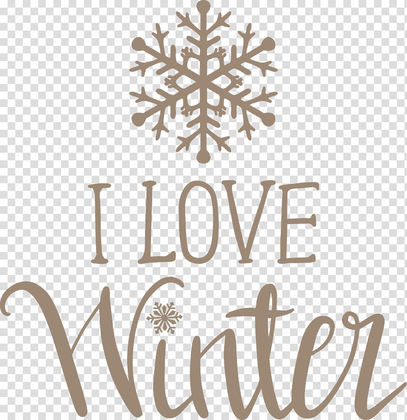 I Love Winter Winter, Winter
, Outlander, Dragonfly In Amber, Snowflake, Diana Gabaldon, Kenneth G Libbrecht transparent background PNG clipart