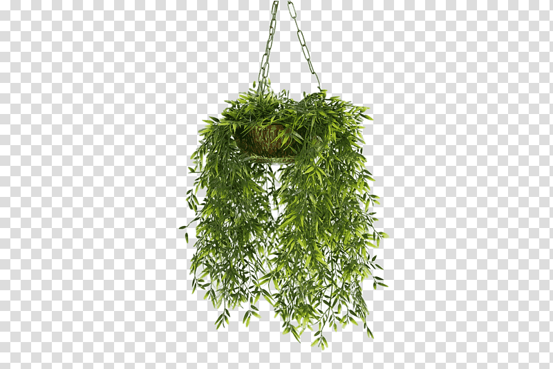 Vine, Hanging Basket, Plants, Bamboo, Nearly Natural, Flowerpot, Ornamental Plant transparent background PNG clipart