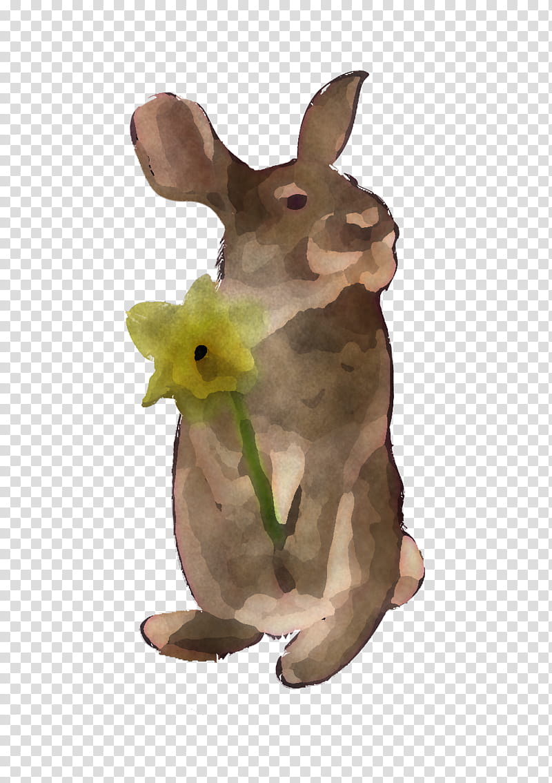 Easter Bunny, Hare, Macropods, Kangaroo, Rabbit, Figurine, Science, Biology transparent background PNG clipart