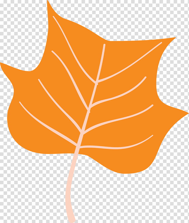 Autumn Leaf Colourful Foliage Colorful Leaves, COLORFUL LEAF, Maple Leaf, Meter, Line, Flower, Plant Structure, Biology transparent background PNG clipart