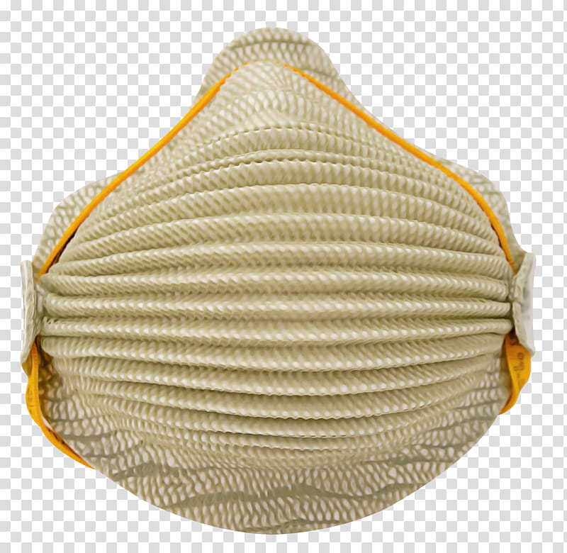 cockle clam yellow bivalve scallop, Ceiling, Shankha, Food transparent background PNG clipart