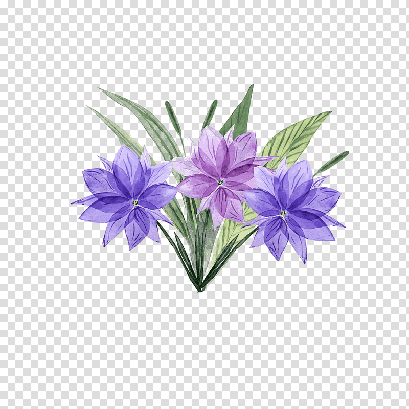 Lavender, Chicory, Flower, Bellflower Family, Petal, Lilac M, Plants transparent background PNG clipart