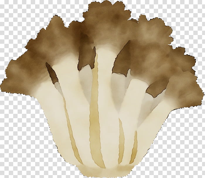 Mushroom cloud, Watercolor, Paint, Wet Ink, Oyster Mushroom, Pleurotus Eryngii, Cartoon, Speech Balloon transparent background PNG clipart