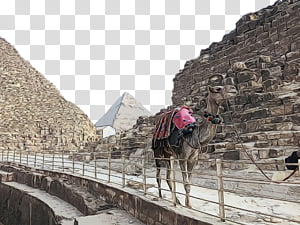 ancient history world heritage site history archaeology tourism, Watercolor, Paint, Wet Ink, Cultural Heritage transparent background PNG clipart thumbnail