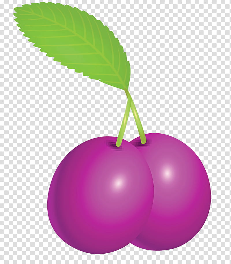 prune fruit, Leaf, Violet, Plant, Purple, Tree, Magenta, Food transparent background PNG clipart